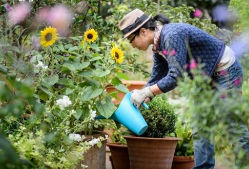 6 λόγοι για να ξεκινήσεις κηπουρική σήμερα
