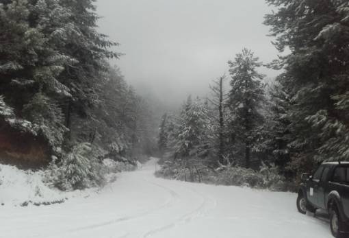 Από εναλλακτική διαδρομή λόγω χιονόπτωσης ο «5ος Καστόρειος Ορεινός Ημιμαραθώνιος Ταϋγέτου»!