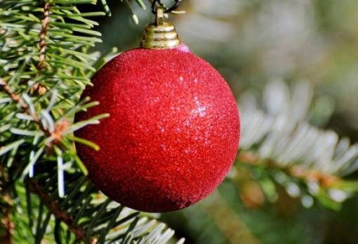 Μήπως είστε αλλεργικοί στο χριστουγεννιάτικο δέντρο σας;