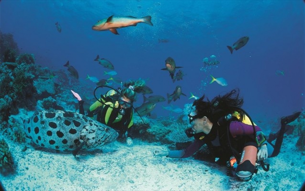 Τα κοράλλια μαρτυρούν «μυστικά» 400 ετών για το Ελ Νίνιο και δίνουν ενδείξεις για το μέλλον