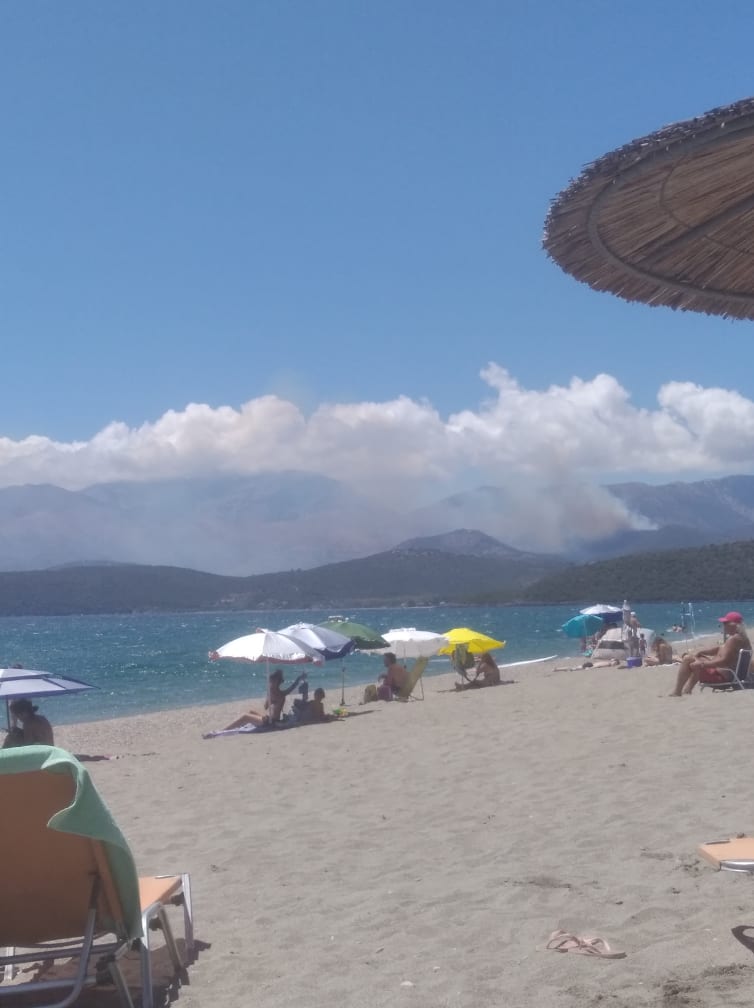 117307645 297711598118320 8507816922706575828 n