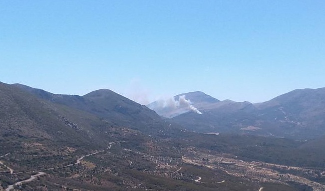 117331498 3232061220213112 7933965999588137280 o