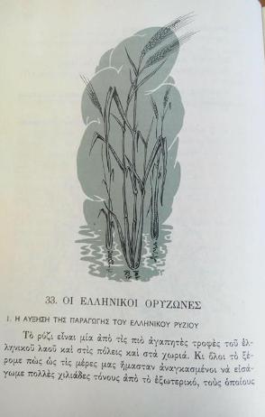 26730767 1406620866130159 5738482103010718301 n