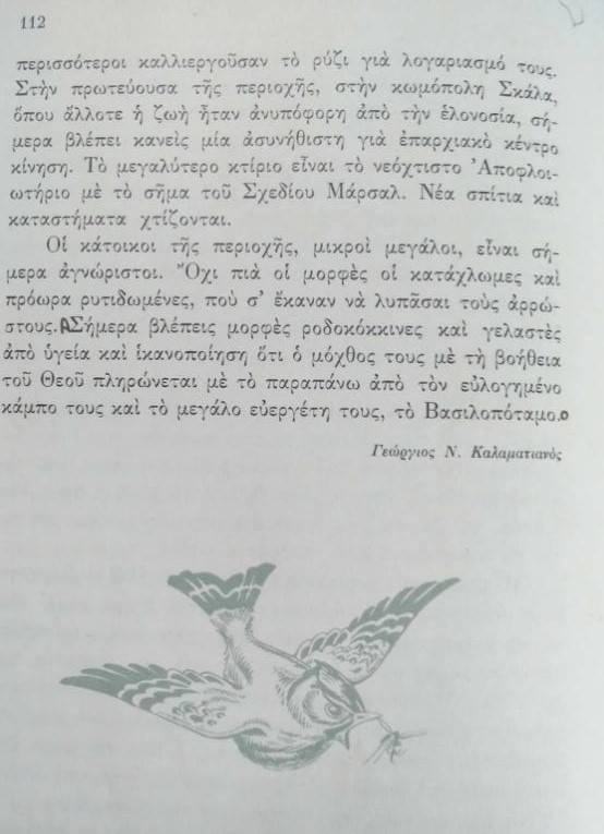 26904361 1406625369463042 6289158492036772428 n