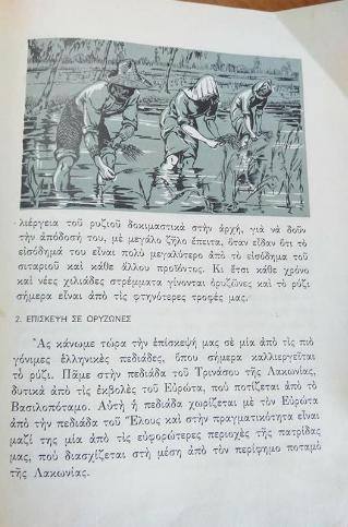 26993650 1406621022796810 6340875656628481870 n