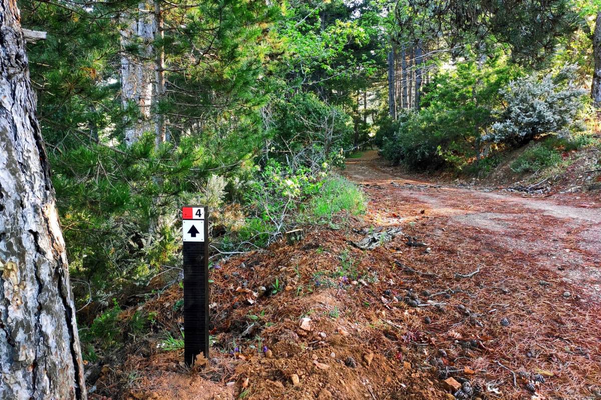 4 60f02d4d2ae81024271391