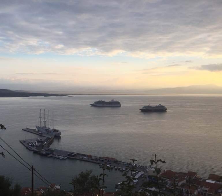 44152049 10214272489778563 3913157300524679168 n