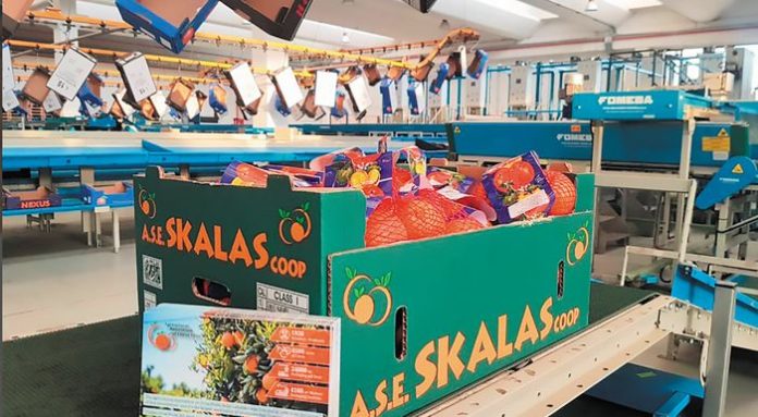 ASE Skalas