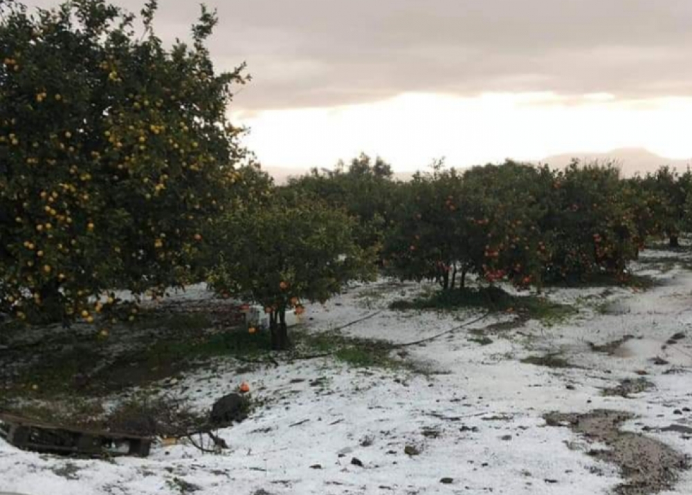 &Iota;&sigma;&chi;&upsilon;&rho;ή &chi;&alpha;&lambda;&alpha;&zeta;ό&pi;&tau;&omega;&sigma;&eta; &sigma;ά&rho;&omega;&sigma;&epsilon; &tau;&eta; &nu;ό&tau;&iota;&alpha; &Lambda;&alpha;&kappa;&omega;&nu;ί&alpha;! (&Phi;&Omega;&Tau;&Omicron;)