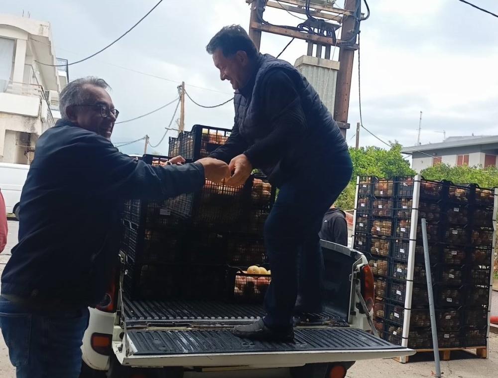 &Delta;&iota;&alpha;&nu;&omicron;&mu;ή 13 &tau;ό&nu;&omega;&nu; &rho;&omicron;&delta;ά&kappa;&iota;&nu;&omega;&nu; &sigma;&epsilon; &delta;&omicron;&mu;έ&sigmaf; &kappa;&alpha;&iota; &epsilon;&upsilon;ά&lambda;&omega;&tau;&epsilon;&sigmaf; &omicron;&mu;ά&delta;&epsilon;&sigmaf; &pi;&omicron;&lambda;&iota;&tau;ώ&nu; &alpha;&pi;ό &tau;&omicron;&nu; &Delta;. &Sigma;&pi;ά&rho;&tau;&eta;&sigmaf;