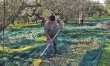Έ&rho;&chi;&epsilon;&tau;&alpha;&iota; &pi;&alpha;&rho;ά&tau;&alpha;&sigma;&eta; έ&omega;&sigmaf; 30 &Iota;&omicron;&upsilon;&nu;ί&omicron;&upsilon; &gamma;&iota;&alpha; &tau;&eta;&nu; &upsilon;&pi;&omicron;&beta;&omicron;&lambda;ή &alpha;&iota;&tau;ή&sigma;&epsilon;&omega;&nu; &gamma;&iota;&alpha; &epsilon;&rho;&gamma;ά&tau;&epsilon;&sigmaf; &gamma;&eta;&sigmaf;