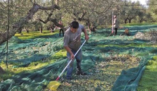Έ&rho;&chi;&epsilon;&tau;&alpha;&iota; &pi;&alpha;&rho;ά&tau;&alpha;&sigma;&eta; έ&omega;&sigmaf; 30 &Iota;&omicron;&upsilon;&nu;ί&omicron;&upsilon; &gamma;&iota;&alpha; &tau;&eta;&nu; &upsilon;&pi;&omicron;&beta;&omicron;&lambda;ή &alpha;&iota;&tau;ή&sigma;&epsilon;&omega;&nu; &gamma;&iota;&alpha; &epsilon;&rho;&gamma;ά&tau;&epsilon;&sigmaf; &gamma;&eta;&sigmaf;
