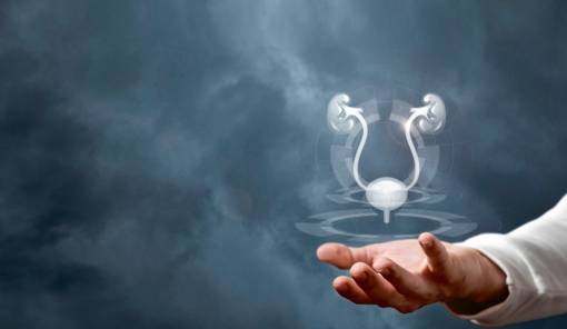 &Kappa;&alpha;&rho;&kappa;ί&nu;&omicron;&sigmaf; &pi;&rho;&omicron;&sigma;&tau;ά&tau;&eta;: &Pi;&omicron;&iota;&alpha; &epsilon;ί&nu;&alpha;&iota; &tau;&alpha; &pi;&rho;ώ&tau;&alpha; &sigma;&upsilon;&mu;&pi;&tau;ώ&mu;&alpha;&tau;&alpha;