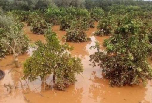 Αιτήσεις για αποζημιώσεις από την πλημμύρα στον Δ. Ευρώτα