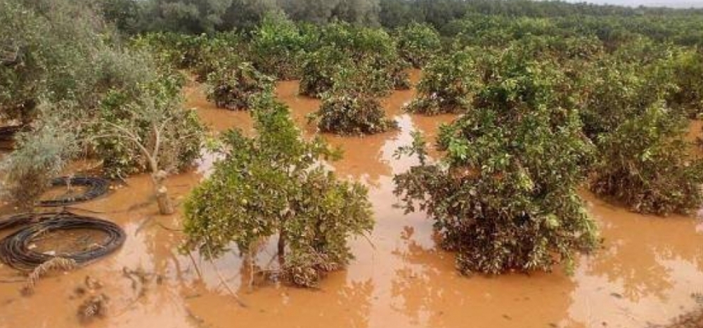 &Alpha;&iota;&tau;ή&sigma;&epsilon;&iota;&sigmaf; &gamma;&iota;&alpha; &alpha;&pi;&omicron;&zeta;&eta;&mu;&iota;ώ&sigma;&epsilon;&iota;&sigmaf; &alpha;&pi;ό &tau;&eta;&nu; &pi;&lambda;&eta;&mu;&mu;ύ&rho;&alpha; &sigma;&tau;&omicron;&nu; &Delta;. &Epsilon;&upsilon;&rho;ώ&tau;&alpha;