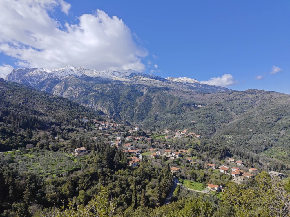 &Epsilon;&nu;ί&omicron;&tau;&epsilon;, &omicron;&iota; &mu;&epsilon;&gamma;ά&lambda;&epsilon;&sigmaf; &pi;&epsilon;&rho;&iota;&pi;έ&tau;&epsilon;&iota;&epsilon;&sigmaf; &tau;&eta;&sigmaf; &zeta;&omega;ή&sigmaf; &mu;&alpha;&sigmaf; &phi;έ&rho;&omicron;&upsilon;&nu; &kappa;&alpha;&iota; &tau;&eta; &mu;&epsilon;&gamma;ά&lambda;&eta; &pi;&alpha;&rho;ά&tau;&alpha;&sigma;ή &tau;&eta;&sigmaf;