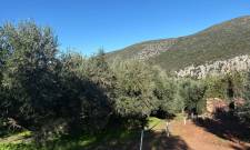 &Kappa;&alpha;&tau;&alpha;&rho;&rho;&alpha;&kappa;&omega;&mu;έ&nu;&eta; &eta; &epsilon;&lambda;&alpha;&iota;&omicron;&pi;&alpha;&rho;&alpha;&gamma;&omega;&gamma;ή  &sigma;&tau;&omicron;&nu; &Delta;. &Mu;&omicron;&nu;&epsilon;&mu;&beta;&alpha;&sigma;ί&alpha;&sigmaf;