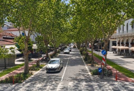 Η Σπάρτη δεν πνίγεται από τα δεντρα, πνίγεται από την έλλειψη οράματος