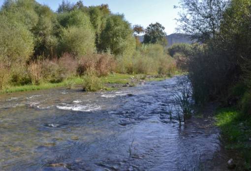 Συντεταγμένη δράση για την προστασία του νερού στη Λακωνία (VIDEO)