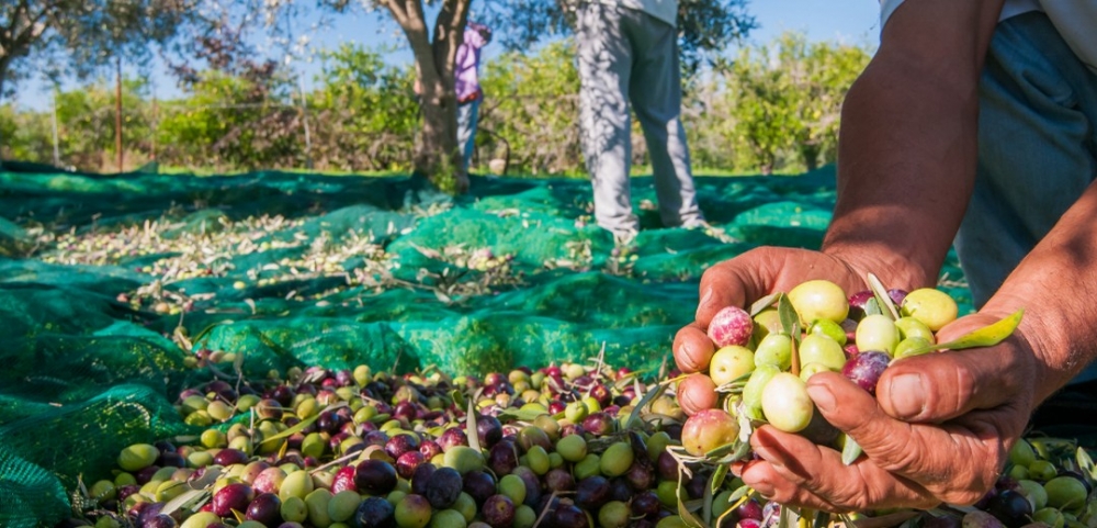 Παγκόσμιο σήμα Τουρισμού διεκδικούν μικρές περιοχές της Πελοποννήσου