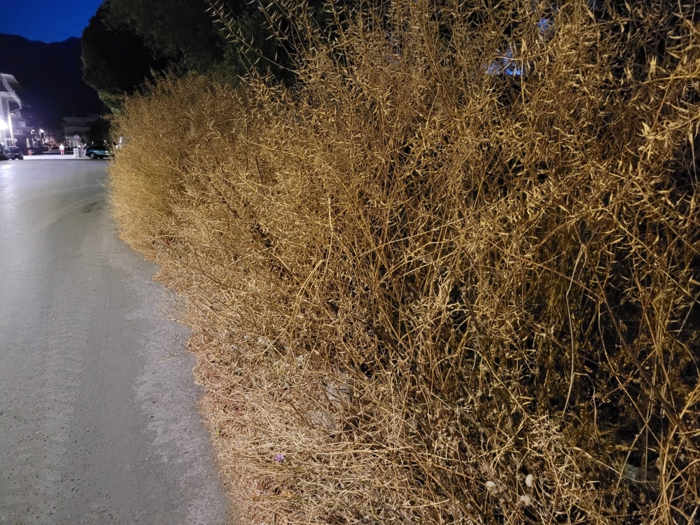 Έφτασαν στον δρόμο τα ξερόχορτα… (ΦΩΤΟ)