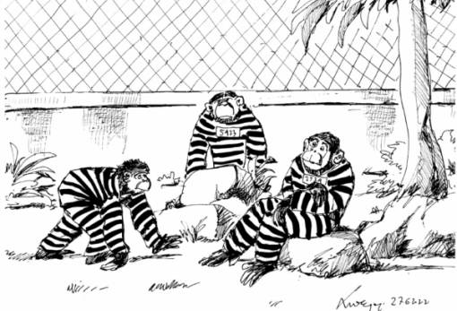 του Ανδρέα Πετρουλάκη