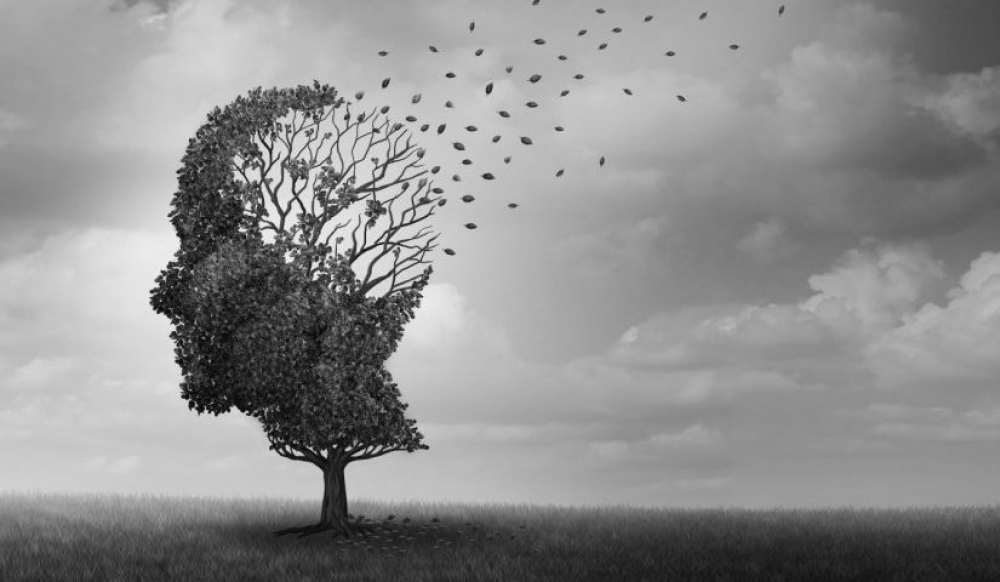 Ά&nu;&omicron;&iota;&alpha; &ndash; &Kappa;&alpha;&iota;&nu;&omicron;&tau;ό&mu;&omicron; &delta;&iota;&alpha;&gamma;&nu;&omega;&sigma;&tau;&iota;&kappa;ό &sigma;ύ&sigma;&tau;&eta;&mu;&alpha; &tau;&epsilon;&chi;&nu;&eta;&tau;ή&sigmaf; &nu;&omicron;&eta;&mu;&omicron;&sigma;ύ&nu;&eta;&sigmaf; &alpha;&pi;ό &Epsilon;&lambda;&lambda;&eta;&nu;ί&delta;&alpha; &epsilon;&rho;&epsilon;&upsilon;&nu;ή&tau;&rho;&iota;&alpha;