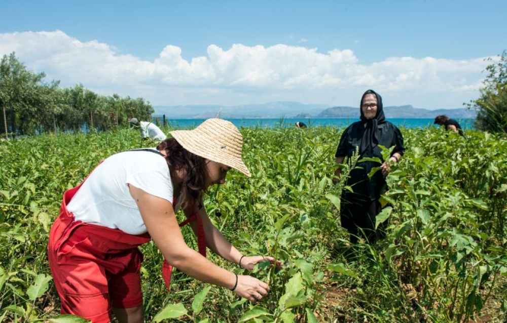 &Eta; &alpha;&gamma;&rho;ό&tau;&iota;&sigma;&sigma;&alpha; &delta;&epsilon;&nu; &zeta;&eta;&tau;ά &epsilon;&lambda;&epsilon;&eta;&mu;&omicron;&sigma;ύ&nu;&eta;, &zeta;&eta;&tau;ά &delta;&iota;&kappa;&alpha;&iota;&omicron;&sigma;ύ&nu;&eta;