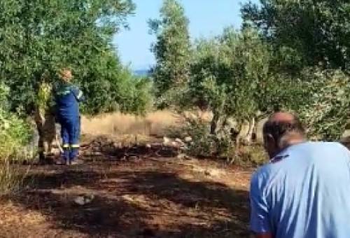 Άμεση κατάσβεση μικρής πυρκαγιάς στην περιοχή Σπυριάνικα της Ελαφονήσου