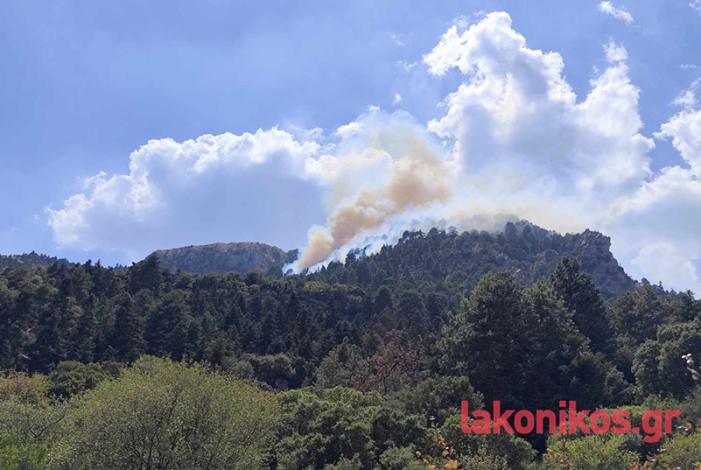 Επικίνδυνη φωτιά σε δύσβατο σημείο στη Σοχά Ταϋγέτου (ΦΩΤΟ)