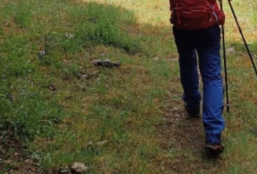 Εξόρμηση του ΕΟΣ Μολάων-ΝΑ Λακωνίας στο βατικιώτικο μονοπάτι που «νίκησε» τη λήθη
