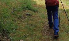 &Epsilon;&xi;ό&rho;&mu;&eta;&sigma;&eta; &tau;&omicron;&upsilon; &Epsilon;&Omicron;&Sigma; &Mu;&omicron;&lambda;ά&omega;&nu;-&Nu;&Alpha; &Lambda;&alpha;&kappa;&omega;&nu;ί&alpha;&sigmaf; &sigma;&tau;&omicron; &beta;&alpha;&tau;&iota;&kappa;&iota;ώ&tau;&iota;&kappa;&omicron; &mu;&omicron;&nu;&omicron;&pi;ά&tau;&iota; &pi;&omicron;&upsilon; &laquo;&nu;ί&kappa;&eta;&sigma;&epsilon;&raquo; &tau;&eta; &lambda;ή&theta;&eta;