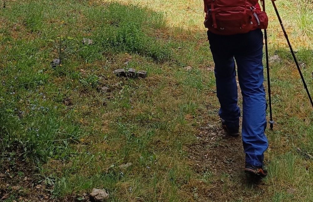 &Epsilon;&xi;ό&rho;&mu;&eta;&sigma;&eta; &tau;&omicron;&upsilon; &Epsilon;&Omicron;&Sigma; &Mu;&omicron;&lambda;ά&omega;&nu;-&Nu;&Alpha; &Lambda;&alpha;&kappa;&omega;&nu;ί&alpha;&sigmaf; &sigma;&tau;&omicron; &beta;&alpha;&tau;&iota;&kappa;&iota;ώ&tau;&iota;&kappa;&omicron; &mu;&omicron;&nu;&omicron;&pi;ά&tau;&iota; &pi;&omicron;&upsilon; &laquo;&nu;ί&kappa;&eta;&sigma;&epsilon;&raquo; &tau;&eta; &lambda;ή&theta;&eta;