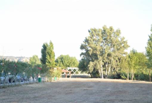 Διήμερο Bridge Festival στο πάρκο Ευρώτα!