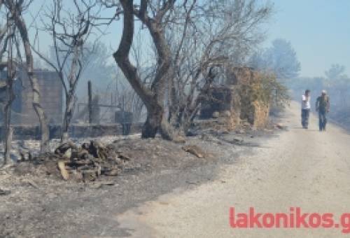 Σχεδόν 100 στρέμματα στάχτη από τη φωτιά στην Παλαιοπαναγιά