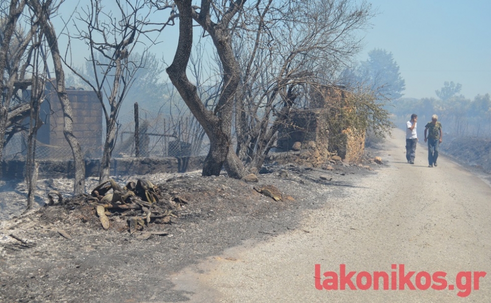 Σχεδόν 100 στρέμματα στάχτη από τη φωτιά στην Παλαιοπαναγιά