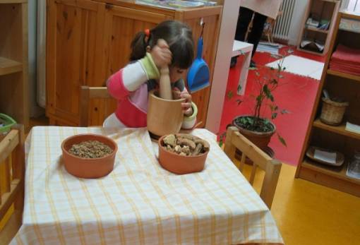 Θερινό πολυσυλλεκτικό «σχολείο» B-e School στην Πλύτρα