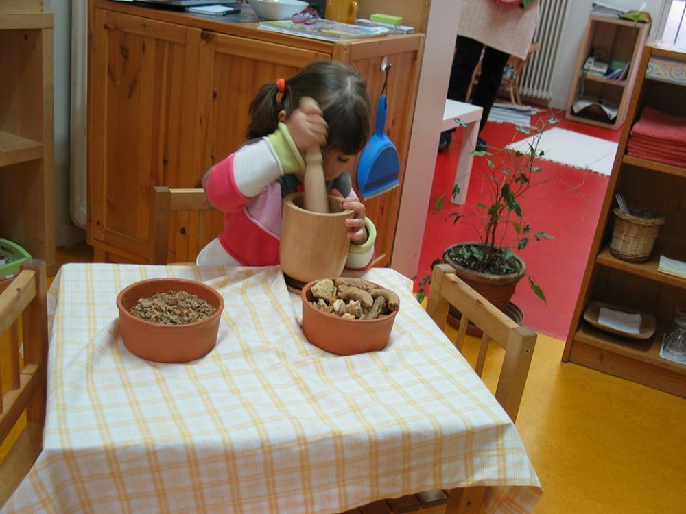 &Theta;&epsilon;&rho;&iota;&nu;ό &pi;&omicron;&lambda;&upsilon;&sigma;&upsilon;&lambda;&lambda;&epsilon;&kappa;&tau;&iota;&kappa;ό &laquo;&sigma;&chi;&omicron;&lambda;&epsilon;ί&omicron;&raquo; B-e School &sigma;&tau;&eta;&nu; &Pi;&lambda;ύ&tau;&rho;&alpha;