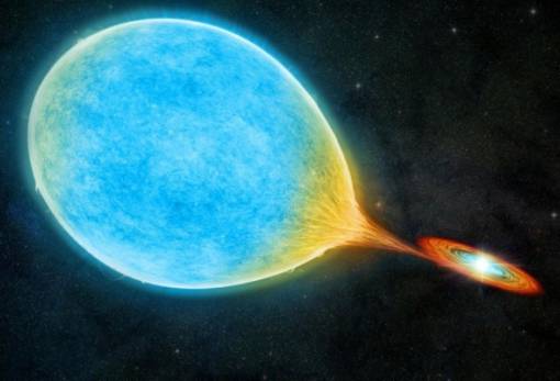 Κρούσμα συζυγικής βίας: Λευκός νάνος συνελήφθη να τρώει τον σύντροφό του