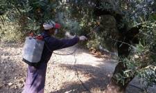 Έ&nu;&alpha;&rho;&xi;&eta; &psi;&epsilon;&kappa;&alpha;&sigma;&mu;ώ&nu; &delta;&alpha;&kappa;&omicron;&kappa;&tau;&omicron;&nu;ί&alpha;&sigmaf; &sigma;&epsilon; &Zeta;&alpha;&rho;&alpha;&phi;ώ&nu;&alpha; &kappa;&alpha;&iota; &Kappa;&alpha;&rho;ί&tau;&sigma;&alpha;