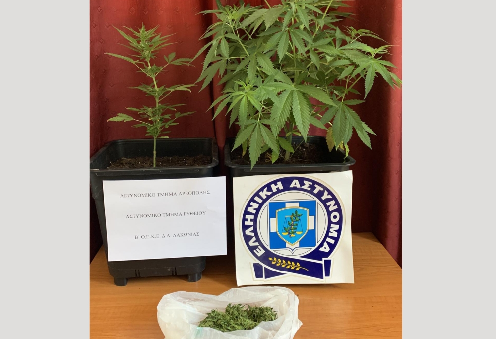 Με «φούντα» και δενδρύλλια πιάστηκε άνδρας στη Μάνη