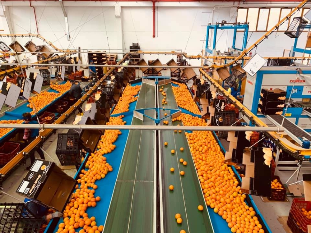 &Lambda;&alpha;&kappa;&omega;&nu;&iota;&kappa;ό&sigmaf; &sigma;&upsilon;&nu;&epsilon;&tau;&alpha;&iota;&rho;&iota;&sigma;&mu;ό&sigmaf; έ&lambda;&alpha;&beta;&epsilon; &epsilon;&kappa;&alpha;&tau;&omicron;&mu;&mu;ύ&rho;&iota;&alpha; &alpha;&pi;ό &tau;&omicron;&nu; &Omicron;&Pi;&Epsilon;&Kappa;&Epsilon;&Pi;&Epsilon; &pi;&rho;&omicron;&tau;&omicron;ύ &laquo;&beta;&omicron;&upsilon;&lambda;&iota;ά&xi;&epsilon;&iota;&raquo;