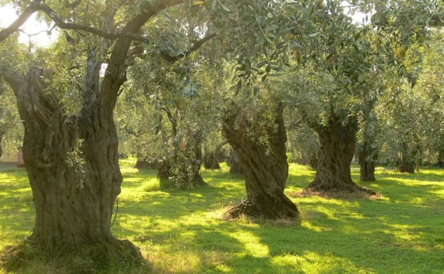 &Upsilon;&pi;&omicron;&chi;&rho;&epsilon;&omega;&tau;&iota;&kappa;έ&sigmaf; &omicron;&iota; &eta;&lambda;&epsilon;&kappa;&tau;&rho;&omicron;&nu;&iota;&kappa;έ&sigmaf; &delta;&eta;&lambda;ώ&sigma;&epsilon;&iota;&sigmaf; &sigma;&upsilon;&gamma;&kappa;&omicron;&mu;&iota;&delta;ή&sigmaf; &epsilon;&lambda;&alpha;&iota;&omicron;&kappa;ά&rho;&pi;&omicron;&upsilon;