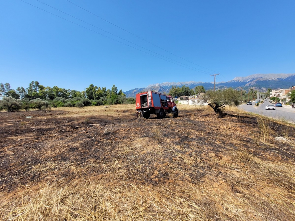 Φωτιά σε οικόπεδο πλησίον του Πανεπιστημίου στη Σπάρτη