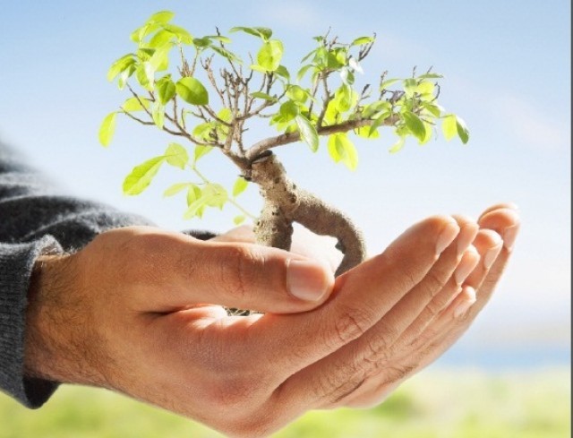 &Sigma;&upsilon;&nu;έ&delta;&rho;&iota;&omicron; &gamma;&iota;&alpha; &tau;&eta;&nu; &pi;&rho;&omicron;&sigma;&tau;&alpha;&sigma;ί&alpha; &tau;&omega;&nu; &epsilon;&delta;&alpha;&phi;ώ&nu; &alpha;&pi;ό &tau;&eta; &delta;&iota;ά&beta;&rho;&omega;&sigma;&eta;