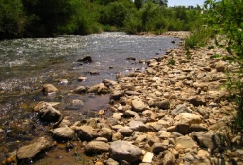 Πέντε στοιχήματα για τον Ευρώτα