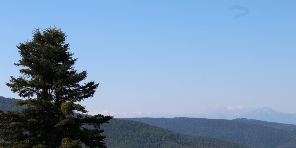 &laquo;&Tau;&omicron; &delta;&iota;&kappa;ό &sigma;&omicron;&upsilon; &delta;έ&nu;&tau;&rho;&omicron; &phi;&tau;ά&nu;&epsilon;&iota; &omega;&sigmaf; &tau;&omicron;&nu; &omicron;&upsilon;&rho;&alpha;&nu;ό;&raquo;