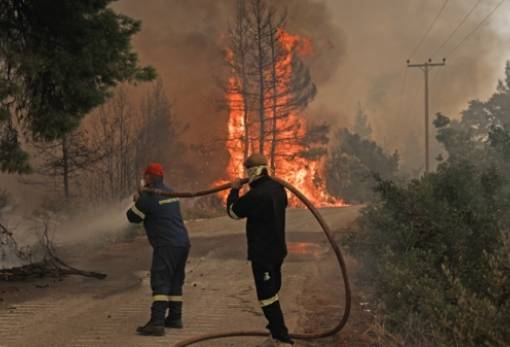 Τραγικός ο απολογισμός των φετινών πυρκαγιών σε ανθρώπινες και περιβαλλοντικές απώλειες