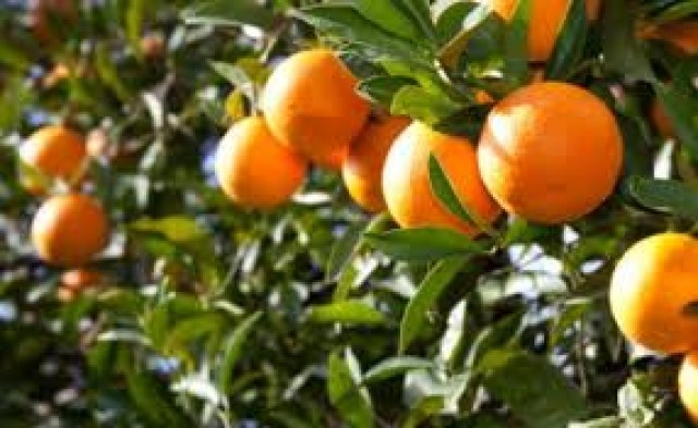 &Zeta;&eta;&tau;&omicron;ύ&nu; ά&rho;&sigma;&eta; &tau;&omicron;&upsilon; &alpha;&pi;&omicron;&kappa;&lambda;&epsilon;&iota;&sigma;&mu;&omicron;ύ &gamma;&iota;&alpha; &tau;&iota;&sigmaf; &alpha;&pi;&omicron;&zeta;&eta;&mu;&iota;ώ&sigma;&epsilon;&iota;&sigmaf; &epsilon;&sigma;&pi;&epsilon;&rho;&iota;&delta;&omicron;&epsilon;&iota;&delta;ώ&nu;