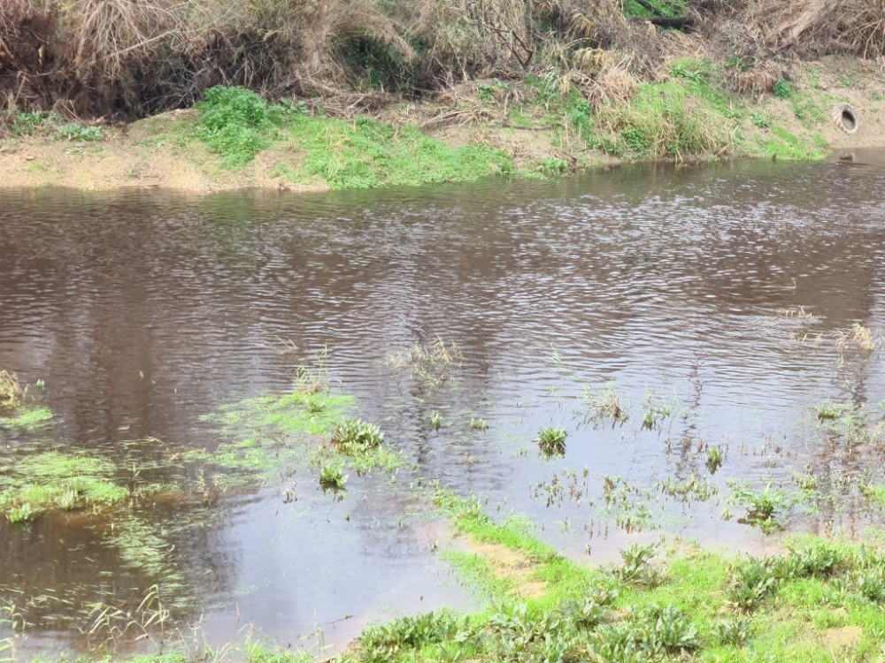 &Sigma;&tau;&omicron;&pi;! &Tau;&omicron; &laquo;έ&gamma;&kappa;&lambda;&eta;&mu;&alpha;&raquo; &alpha;&nu;&alpha;&beta;&iota;ώ&nu;&epsilon;&iota; &mu;&epsilon; ί&delta;&iota;&omicron; &theta;ύ&mu;&alpha;&hellip;(&Phi;&Omega;&Tau;&Omicron;)